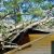 Urbana Fallen Tree Damage by Quick 2 Dry LLC